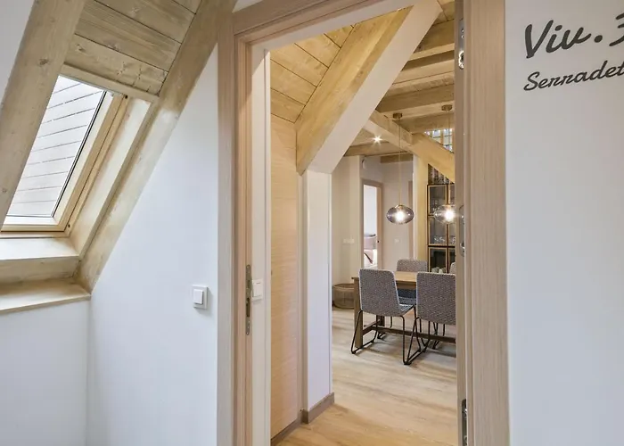Luderna - Duplex Serradet *